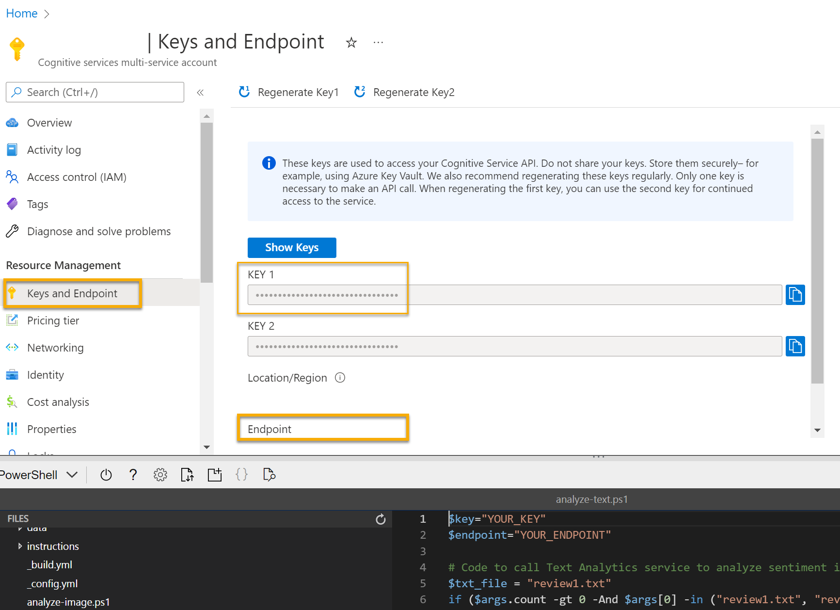 ابحث عن علامة تبويب المفتاح ونقطة النهاية في الجزء الأيسر لمورد خدمات الذكاء الاصطناعي في Azure.