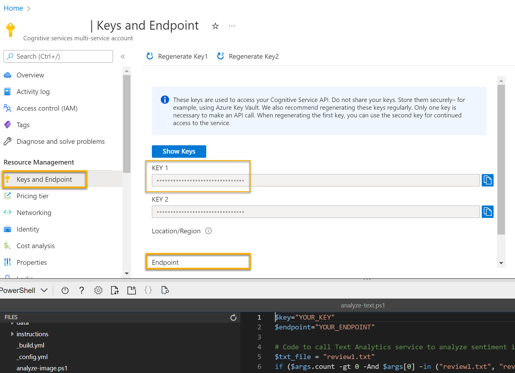 Azure AI サービス リソースの左側のペインで、キーとエンドポイントのタブを見つけてください。