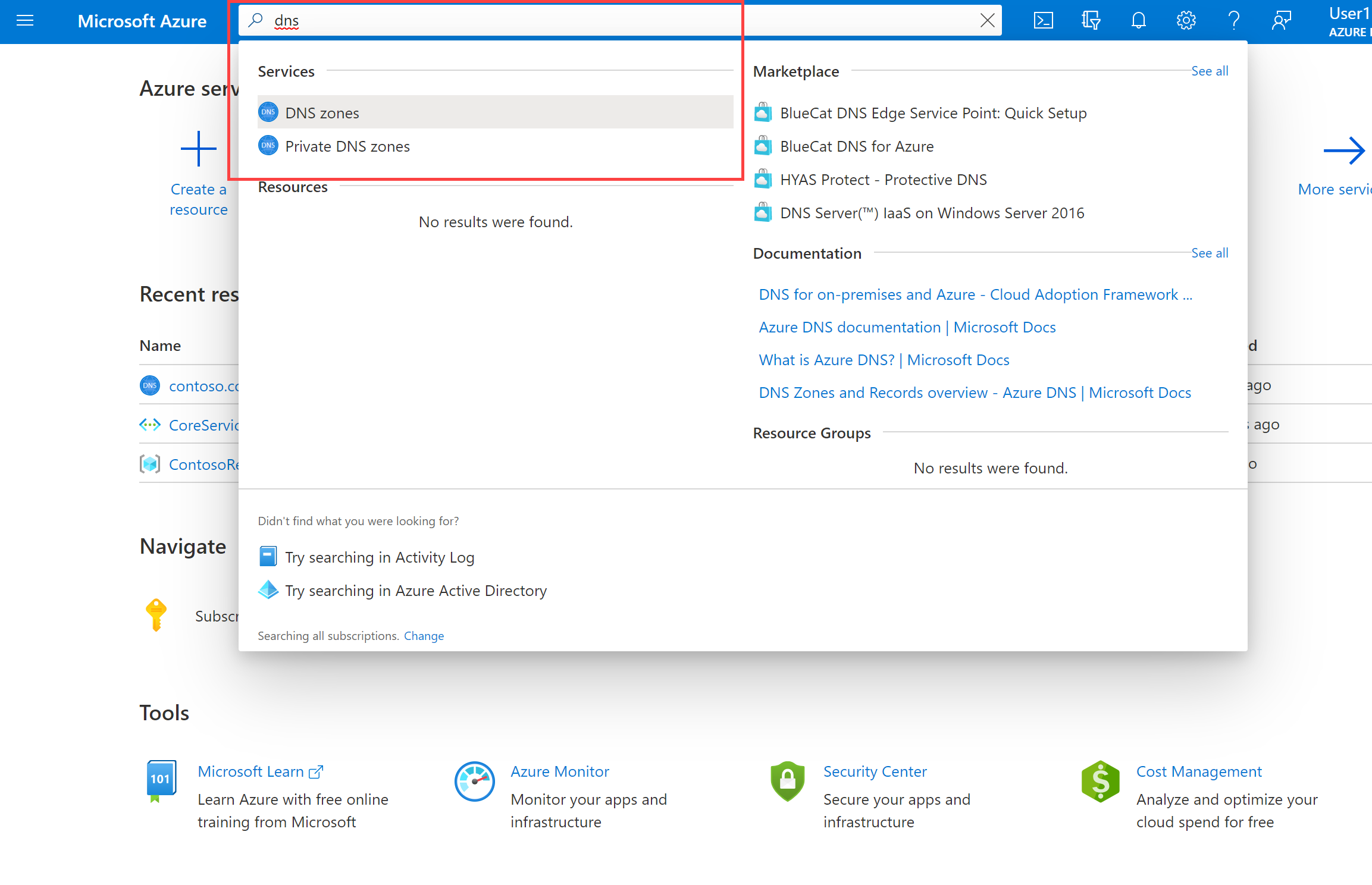 DNS 검색을 사용하는 Azure Portal 홈페이지.