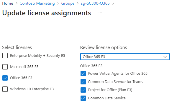 Screen image displaying licenses selected and assigned to a group. The review license menu is also selected displaying multiple selection options.