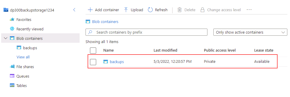 Screenshot showing the backed up file in the storage account.