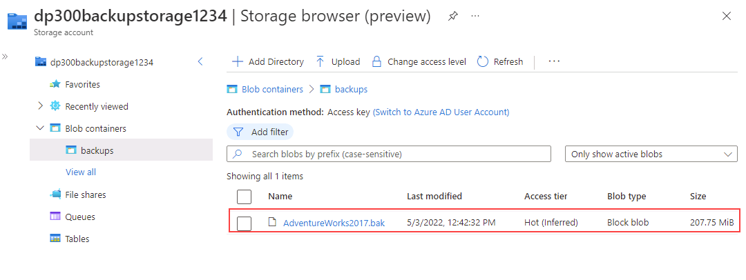 Screenshot showing the backup file on storage browser.