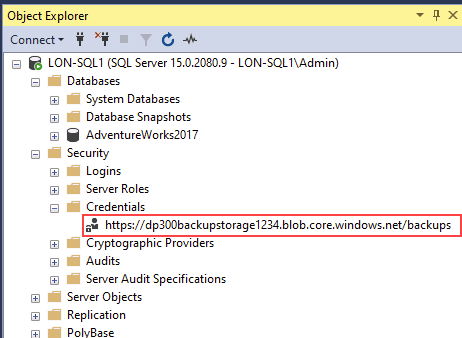 Screenshot of the credential on SSMS.