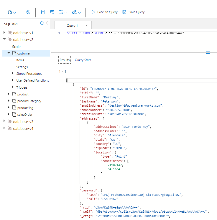 Screenshot that shows the query results for customer in the database.