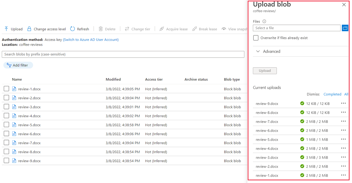 Capture d’écran montrant les fichiers chargés sur le conteneur Azure.