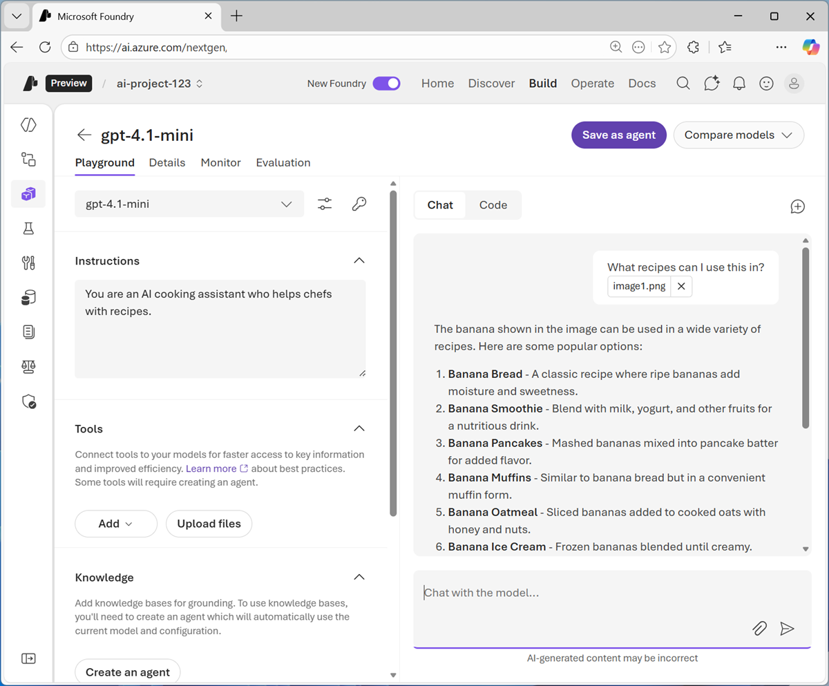 Screenshot of the chat app with the response to an image-based prompt.