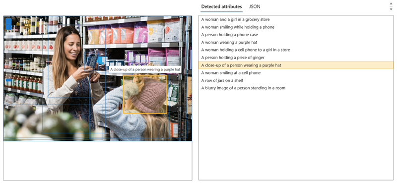 The image and its captions are displayed.