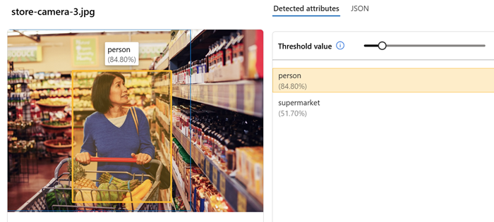 Screenshot of dense captining results.