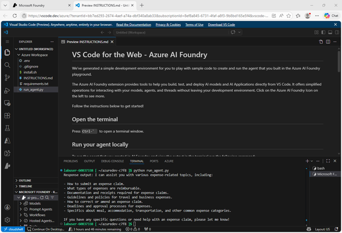 Screenshot of VS Code for the Web with output from the agent.