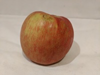 Image of an apple