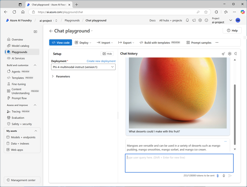 Screenshot of the chat playground with an image-basd prompt.