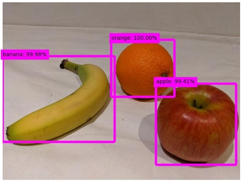 An image with the detected objects highlighted.