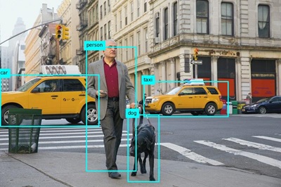 An image with object boundary boxes.