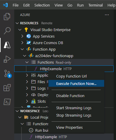 Screenshot of the Execute Function Now option.