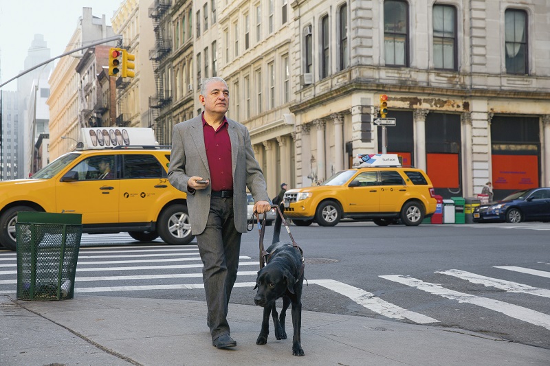 An image of a city street, with a man walking a dog.