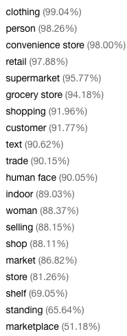 Tags generated for the image of a person shopping in a grocery stor .