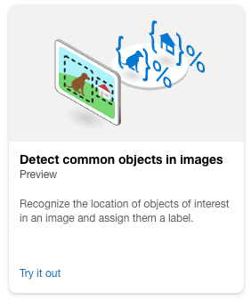 The Detect common objects in images tile is displayed.