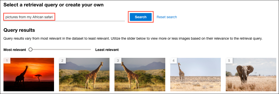 "Pictures from my African safari" is entered and highlighted in the search box, and the Search button is highlighted. The images returned by the vectorized text query are displayed.