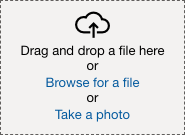 The box for dragging and dropping files is displayed.