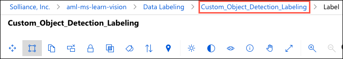 The Custom_Object_Detection_Labeling project is highlighted in the page breadcrumbs.