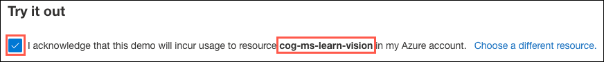 The acknowledgement checkbox is checked and highlighted under Try it out, and the cog-ms-learn-vision-SUFFIX resource name is highlighted as the resource being used.