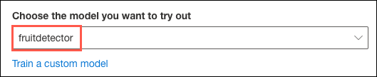 The custom fruitdetector model is selected and highlighted in the Choose the model you want to try out dropdown list.