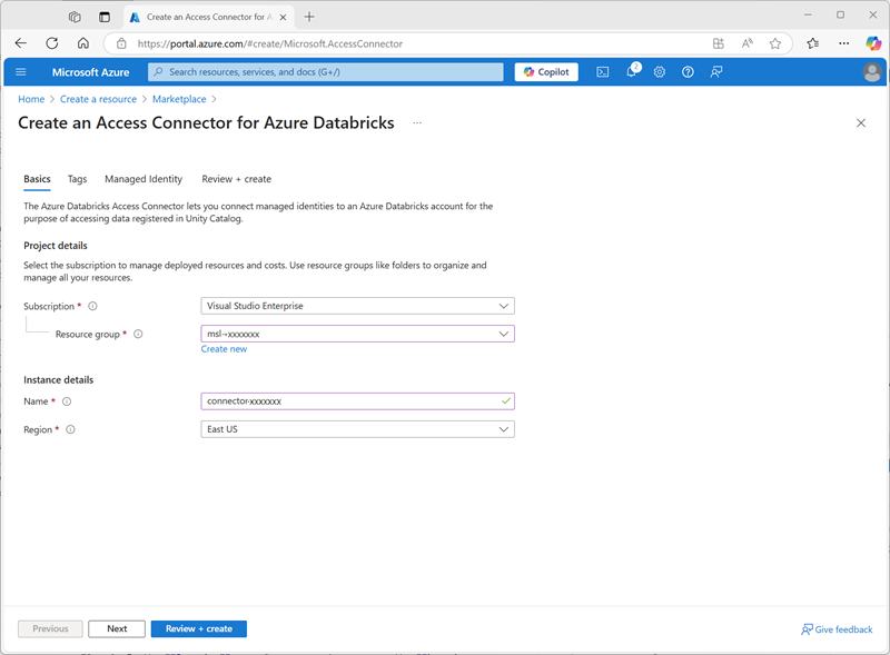 Captura de tela da página Criar conector de acesso do Azure Databricks no portal do Azure.