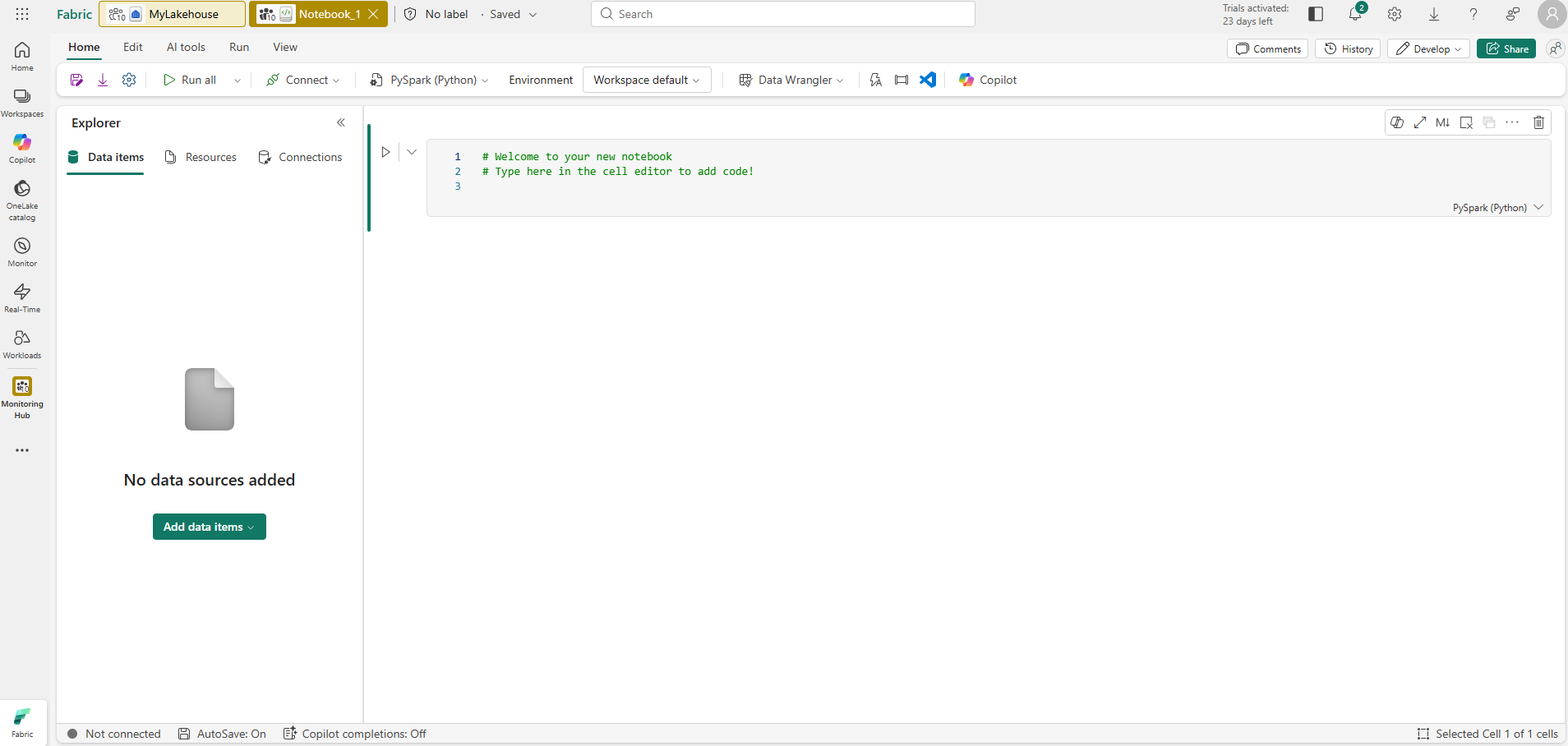 Screenshot of a new notebook.