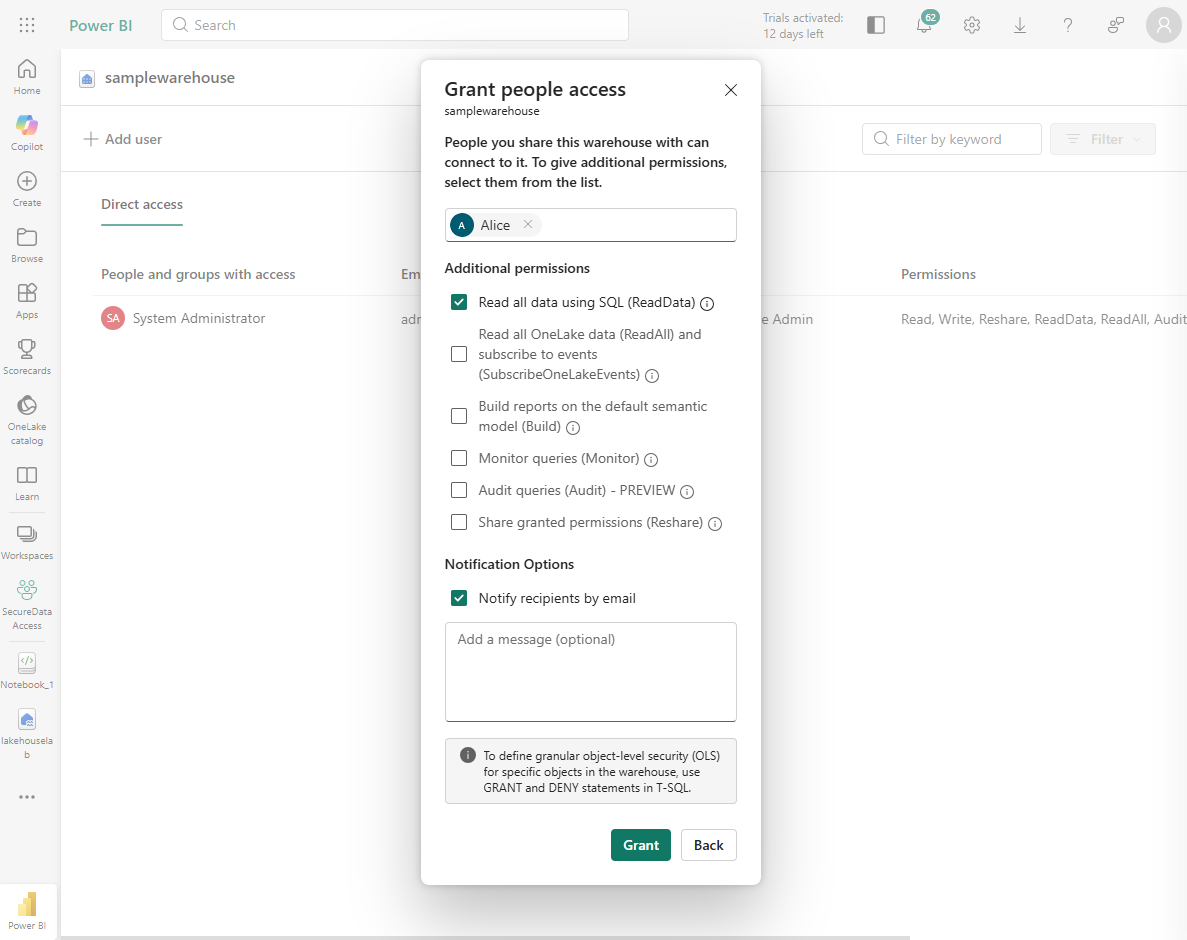 Screenshot of warehouse permissions being granted in Fabric.