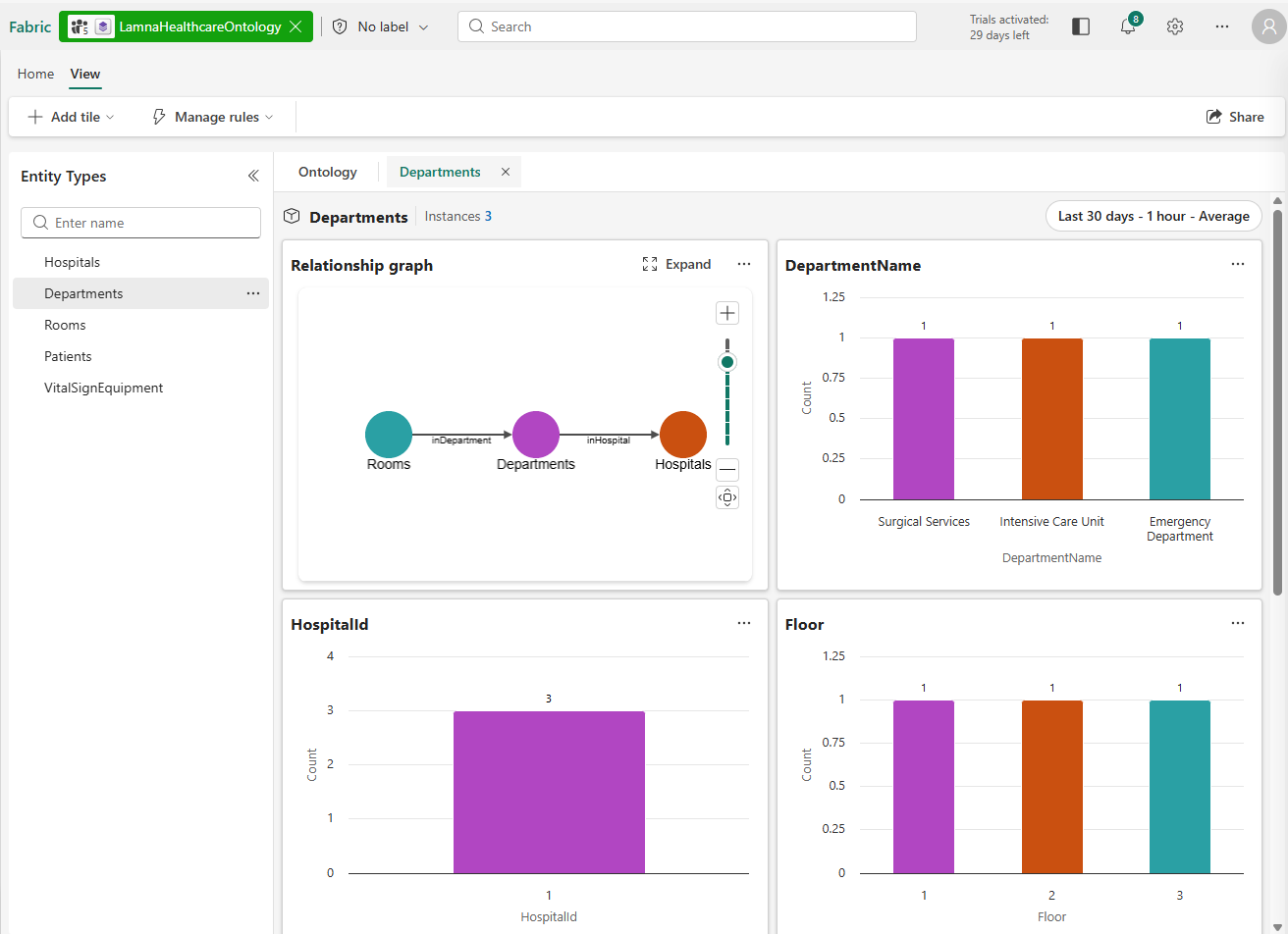 Screenshot showing the loaded preview experience with entity instances