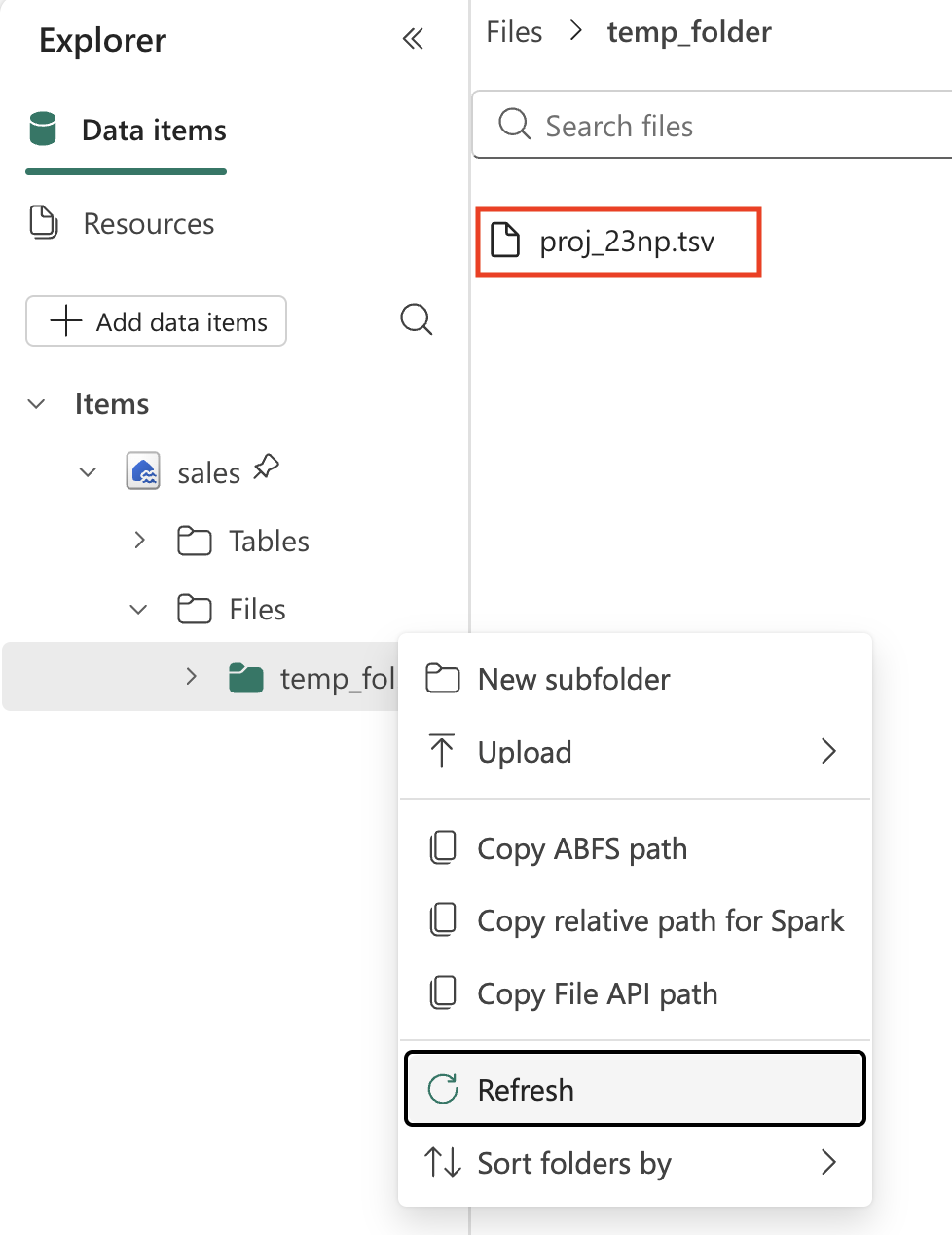 Screenshot of the a temp file created in the lakehouse.