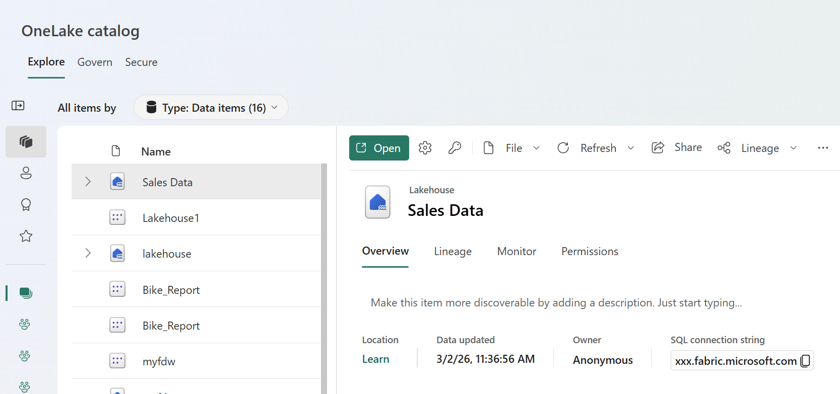 Screenshot showing lakehouse details in the catalog with metadata displayed.