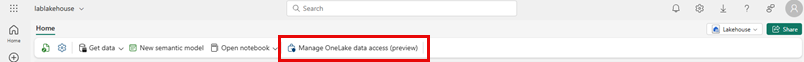 Screenshot of the Manage OneLake data access (preview) feature on the menu bar in Fabric.