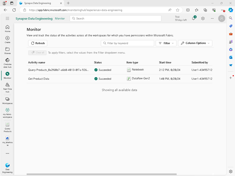 Screenshot of the monitoring hub with a notebook activity.