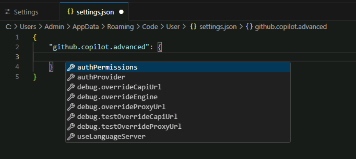 Screenshot showing the settings.json file open in the editor.